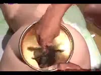 Fish going inside the butthole of kinky beastie gal